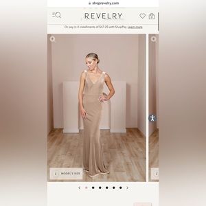 Revelry Dakota in champagne velvet